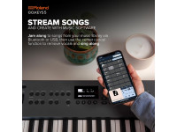 <b>Roland GO:KEYS 5 GT GRAPHITE Cinzento Escuro Teclado portátil Piano Sintetizador Arranger Ritmos Tecnologia ZEN-Core 61 teclas BEST-SELLER</b> <b>Roland GO:KEYS 5 GT GRAPHITE Cinzento Escuro Teclado portátil Piano Sintetizador Arranger Ritmos Tecnologia ZEN-Core 61 teclas BEST-SELLER</b>